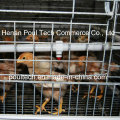 New Type Chick Brood Cage pour la ferme de poulet (un cadre)